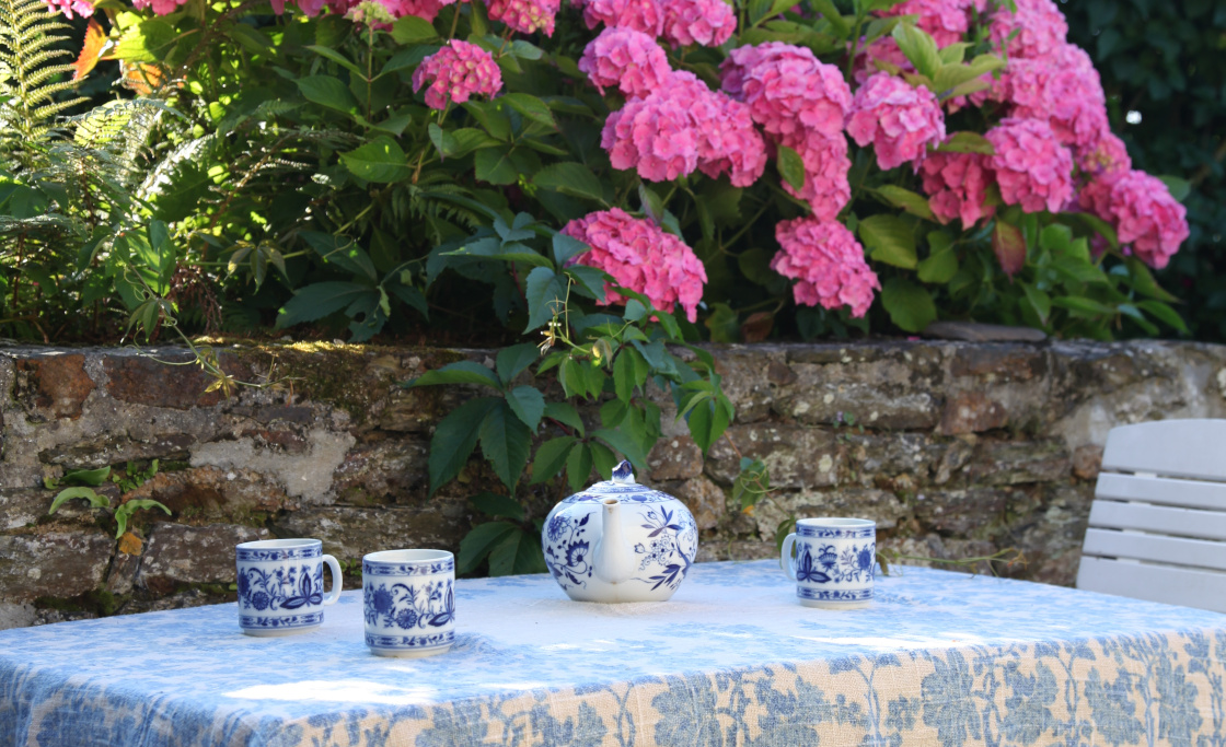 terrasse-jardin-hortensias